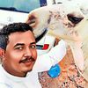 hossam.mohmmed