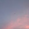userjjqf0xja5w