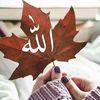 user8331119820260