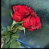 samedova____123456