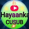 hayaankacusub