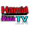 hamidraza834