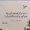 qasimraza.73