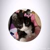 princess_qila2