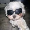 stevenchrist77