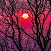 _lera_2828