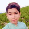 anas.7206