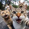 _crazycatlady_19