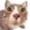 miau_man