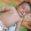 livani743