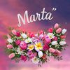 marti_rosalia