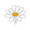 Daisyvy