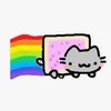 catnyan31
