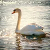 el_marie8