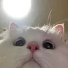 khe_denh2110