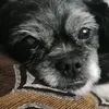 renzzzzzzzo