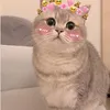 ist.ttnhung_