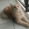 juliahasan79