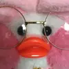 softt_duck