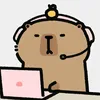 alin_tn