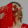 user4480760581361