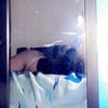 krystal_6996