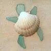 x.seashell_business.x