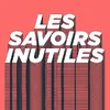 Les Savoirs Inutiles