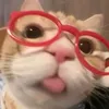 pipii_2811
