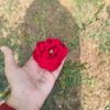 user5334302041130