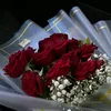 fara_com1