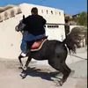 asoxoshnaw67
