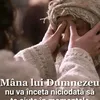 dumitritalivianam