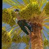 islamislam5296