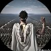 .elvis.rocha