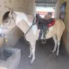 jeffinhojeffinho9