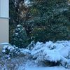 winter.moto16