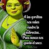 eli.carranza8