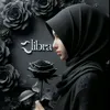js16_suly