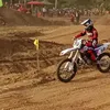 treshiaor11