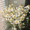 usert39f6jiitv