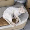 userrplxsbvblw