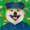 shibalnu_haipi
