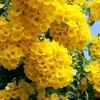 1eqsf32edr244fr55tgh355t