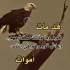 usern724n5escj