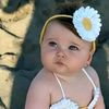 rody812200