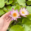 annhien313150