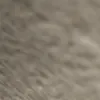 sirdartha79