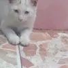 user0jspfo0hbv