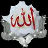 user60024451485110